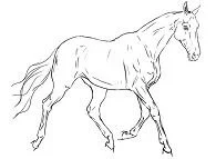 Horse Coloring Pages 46