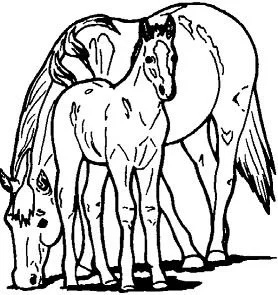 Horse Coloring Pages 49