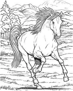 Horse Coloring Pages 5