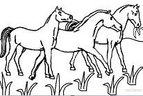 Caballos Para Colorear 57