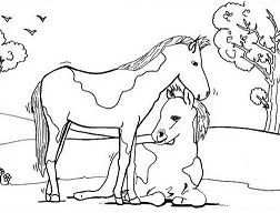 Caballos Para Colorear 58