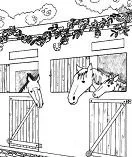 Horse Coloring Pages 6