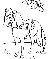Caballos Para Colorear 70