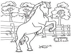 Caballos Para Colorear 72