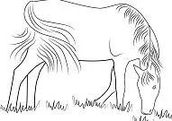 Horse Coloring Pages 80