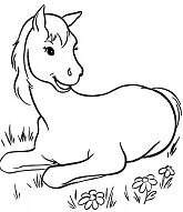 Horse Coloring Pages 87