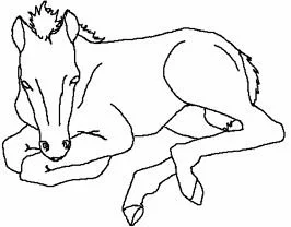 Horse Coloring Pages 9