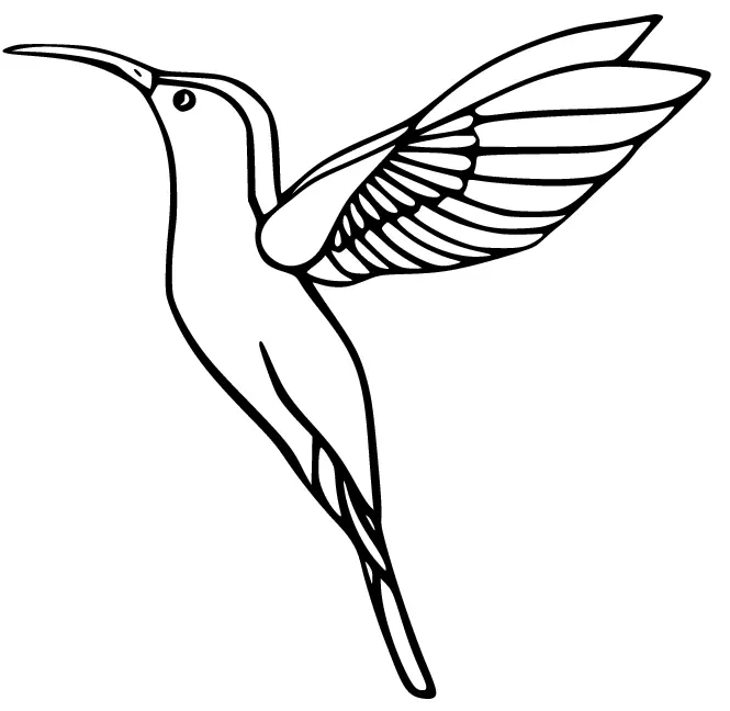 Ausmalbilder Kolibri 12