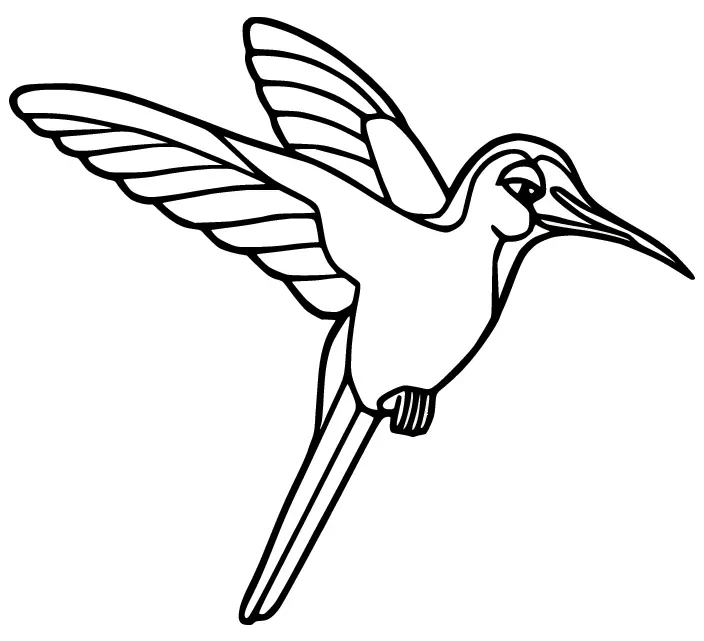 Ausmalbilder Kolibri 13