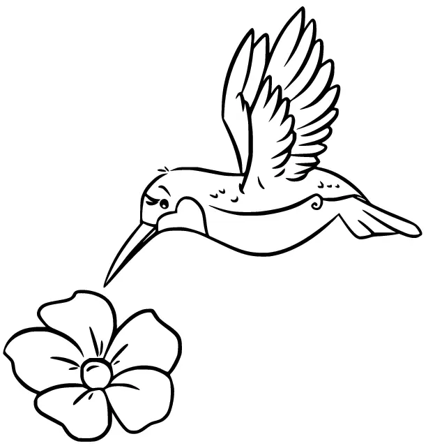 Ausmalbilder Kolibri 26