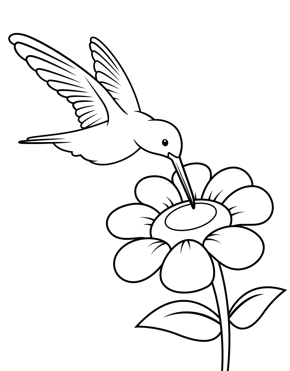 Ausmalbilder Kolibri 4