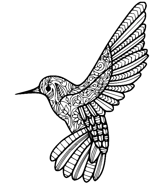 Ausmalbilder Kolibri 6
