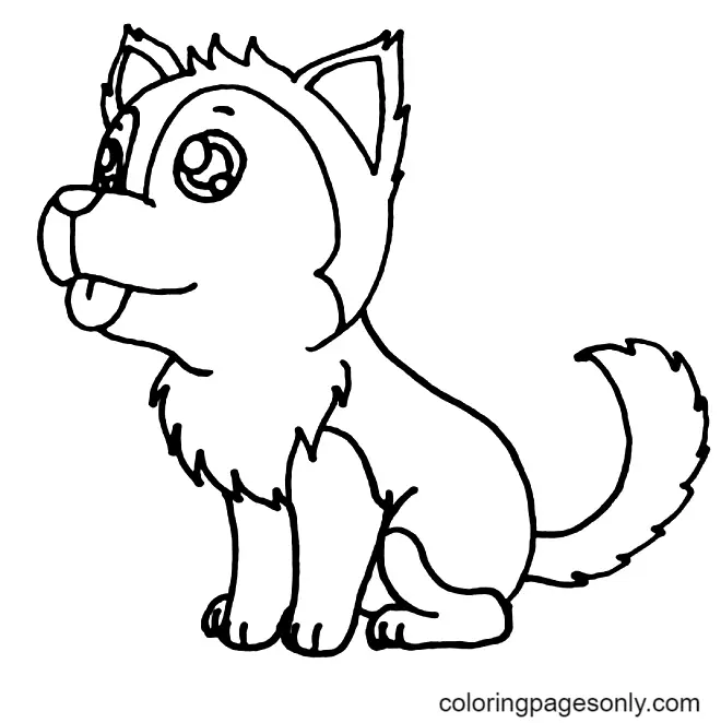 Desenhos de Husky Para Colorir 10