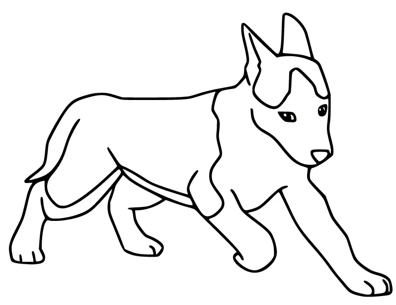 Desenhos de Husky Para Colorir 39