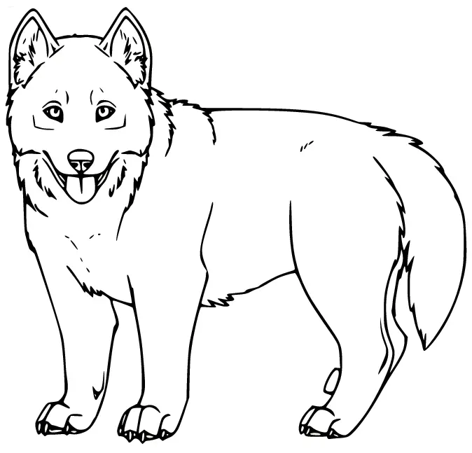 Desenhos de Husky Para Colorir 42