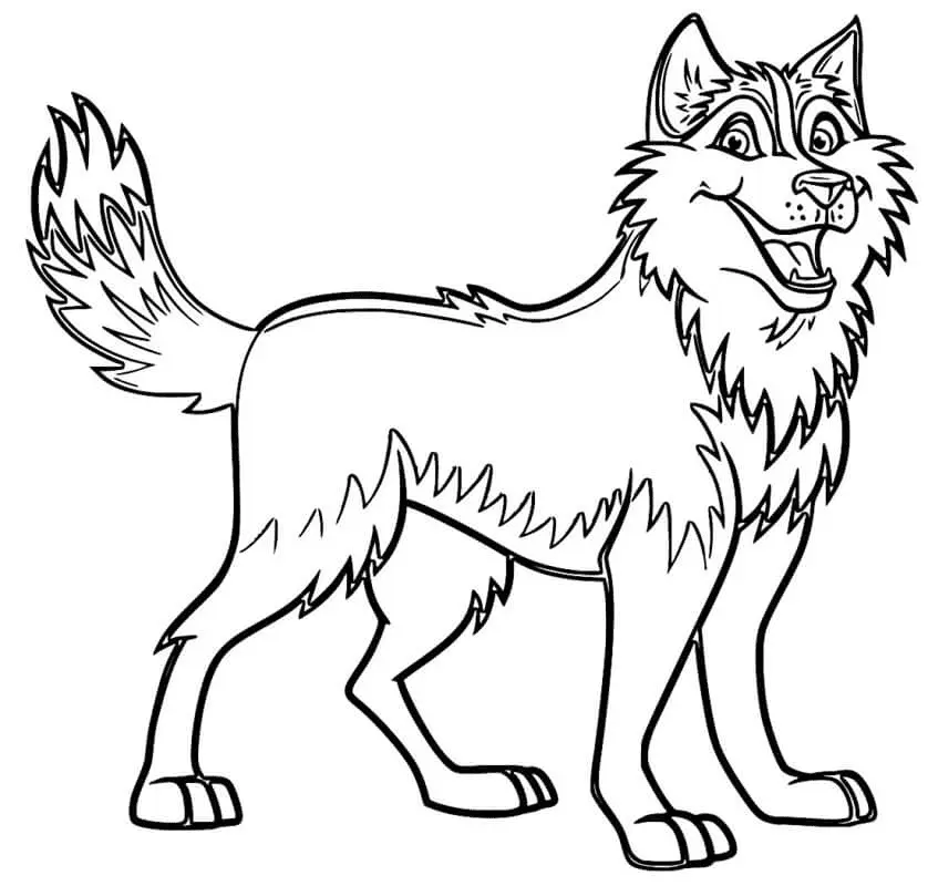 Desenhos de Husky Para Colorir 56