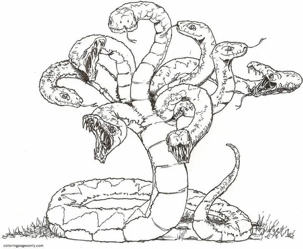 Hydra Coloring Pages 7