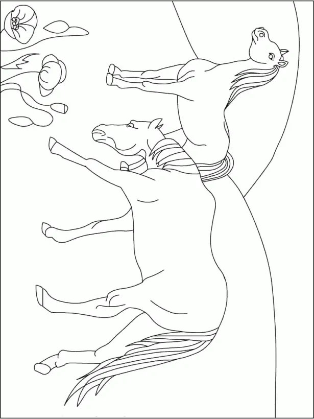 Indianapolis Colts Para Colorir 14
