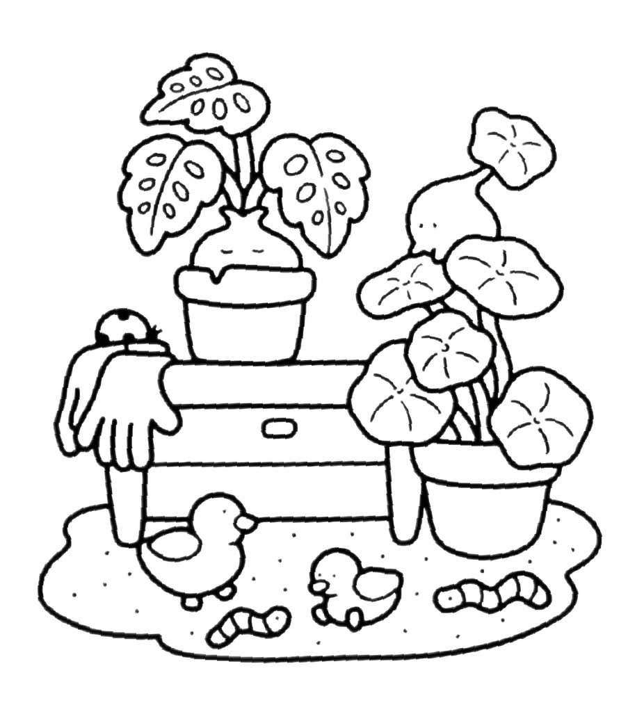 No Jardim para Colorir 29