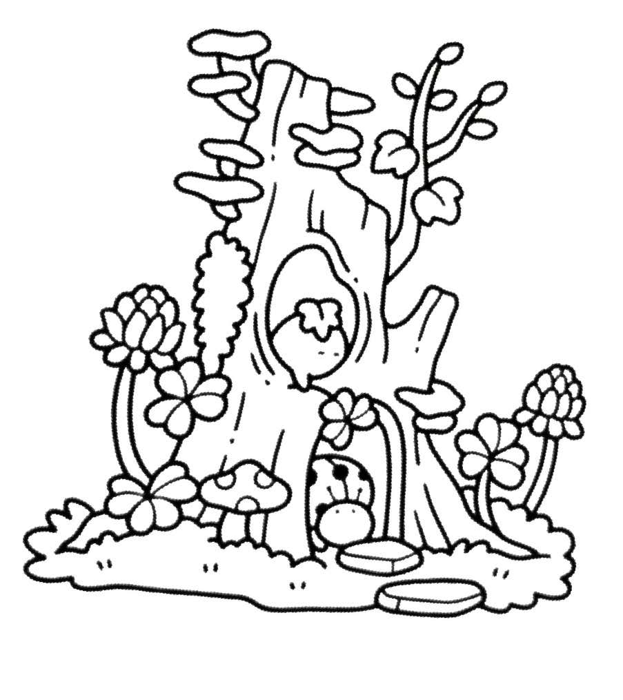 No Jardim para Colorir 41