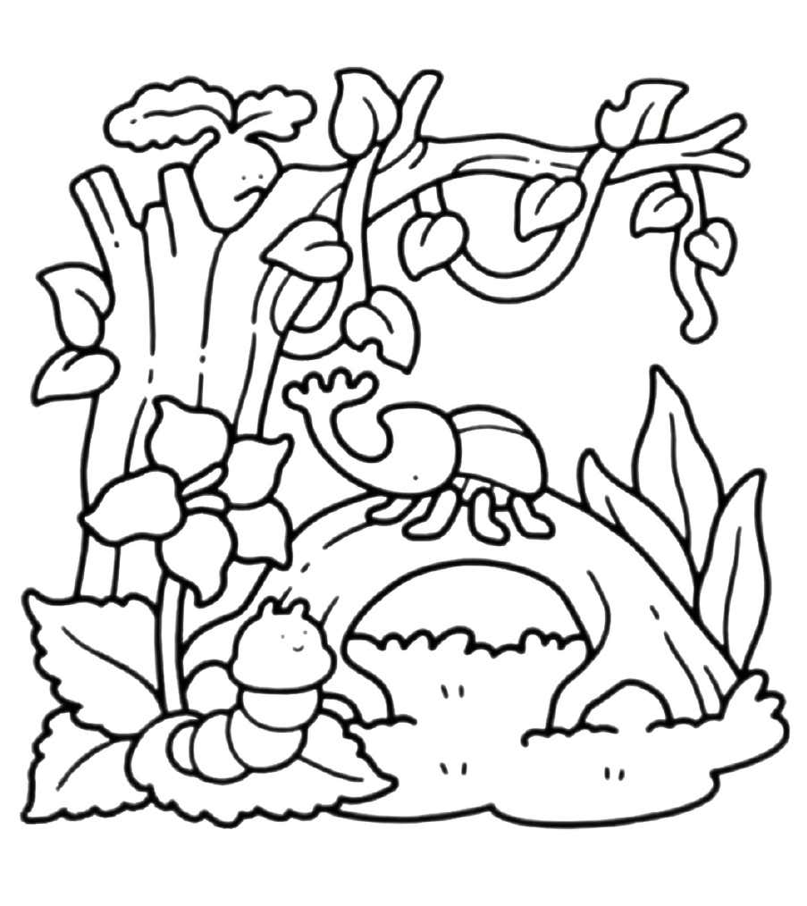 Into Gardens Coloring Pages 7