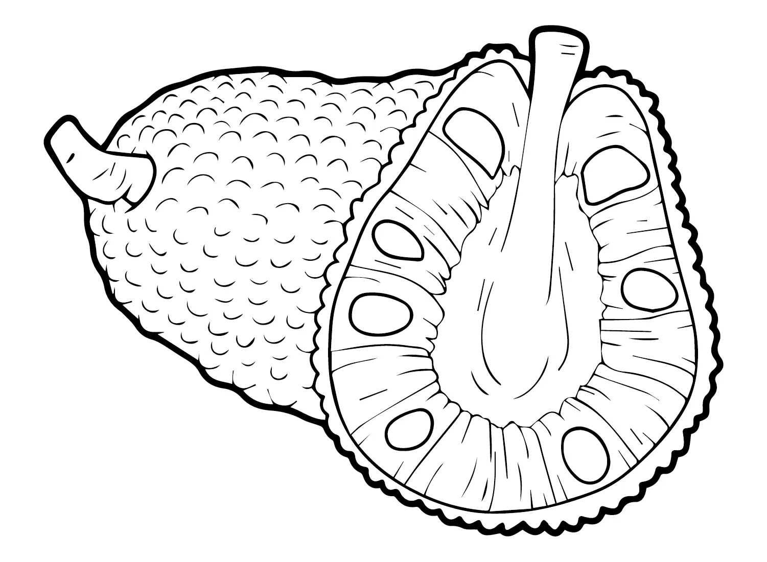 Jackfruit Coloring Pages 4
