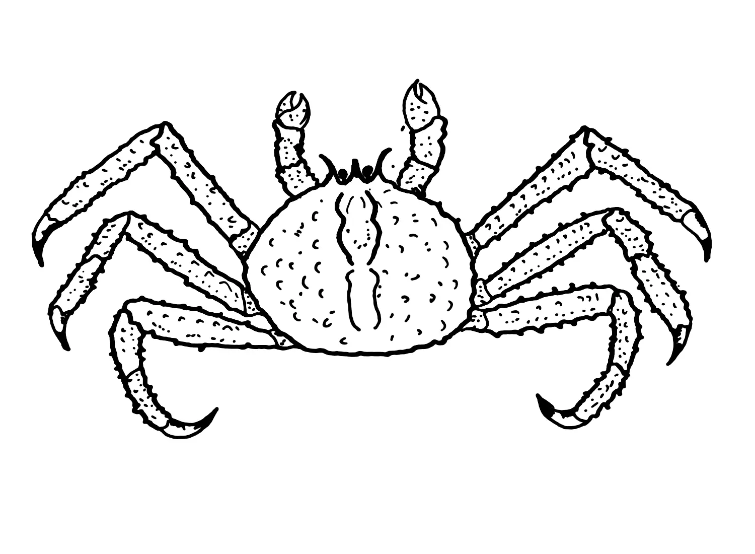 Desenhos de Caranguejo-Rei Para Colori 3