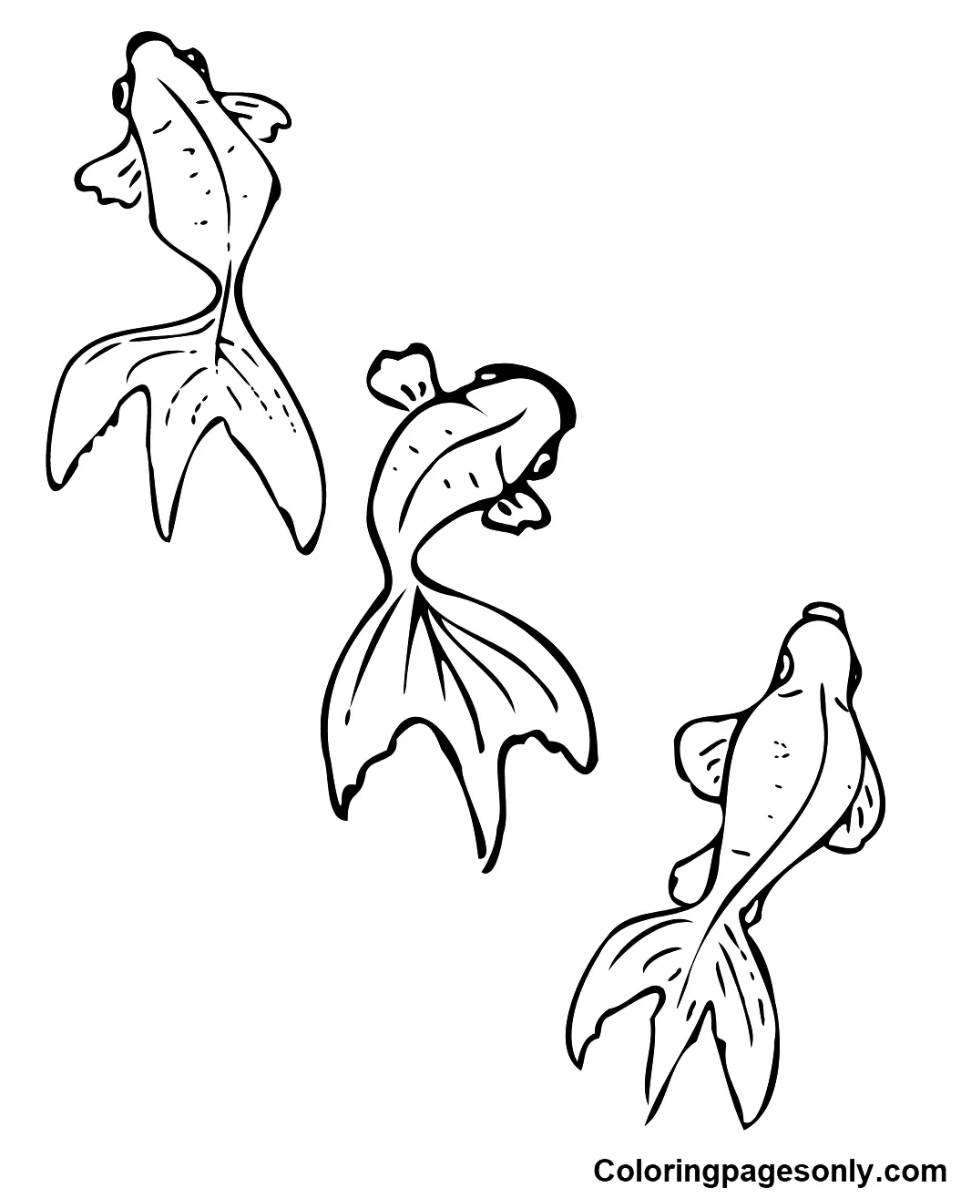 Peces Koi Para Colorear 15