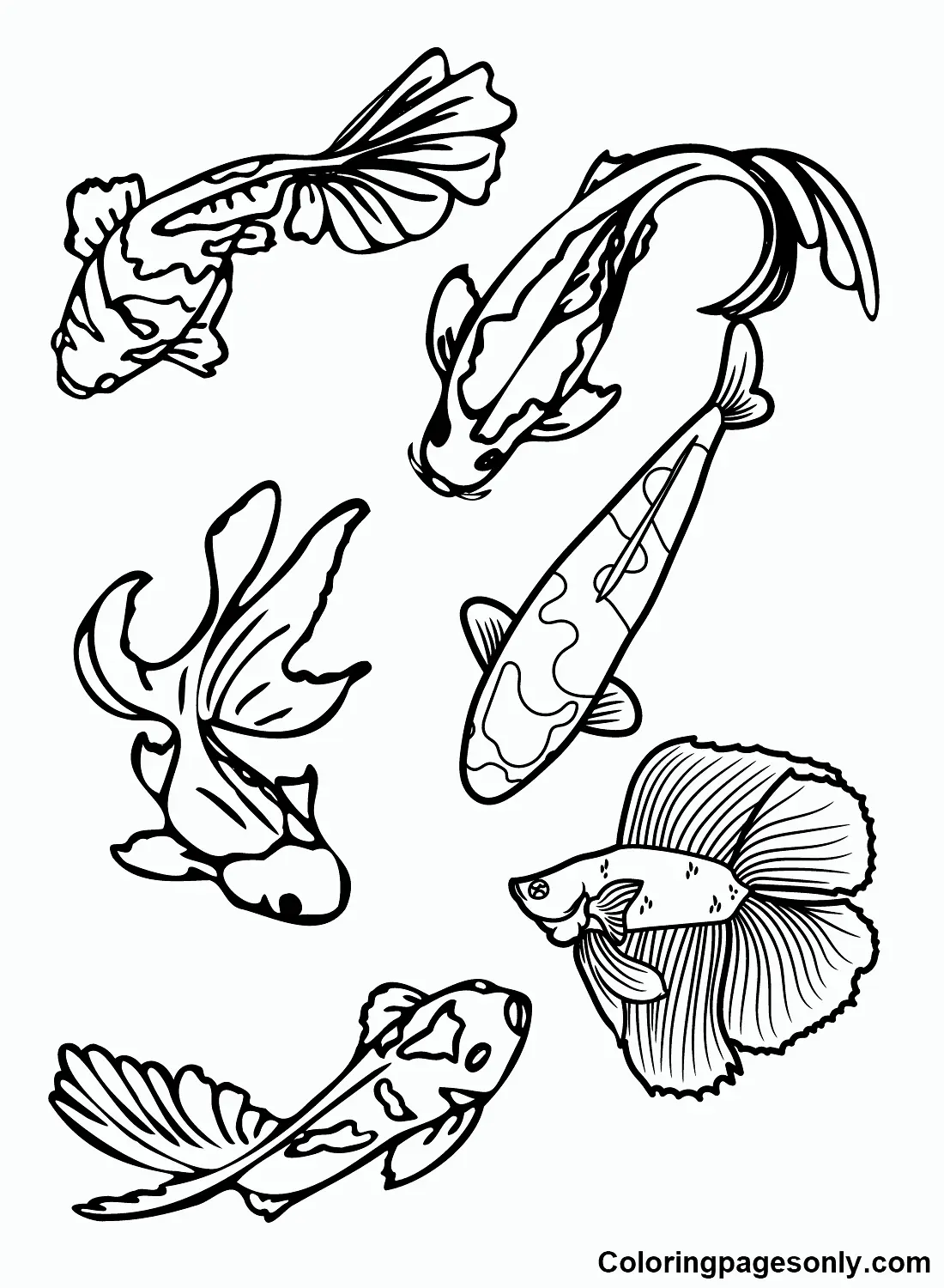 Desenhos de Peixes Koi Para Colorir 16