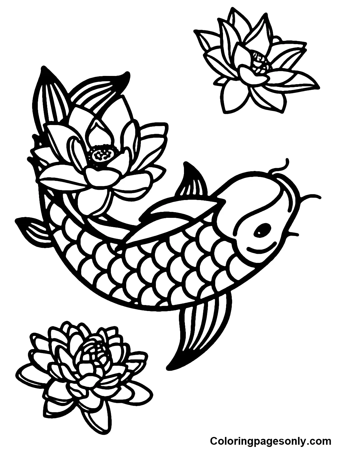 Koi Fisch Ausmalbilder 18