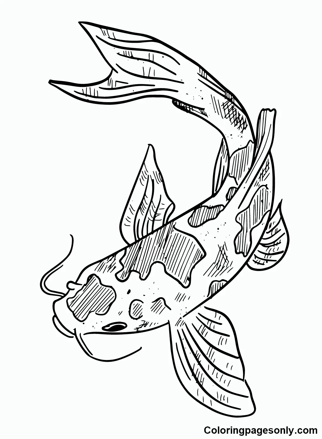 Koi Fisch Ausmalbilder 6