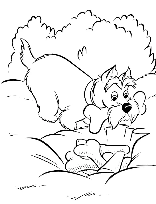 Desenhos de A Dama e o Vagabundo Para Colorir 55