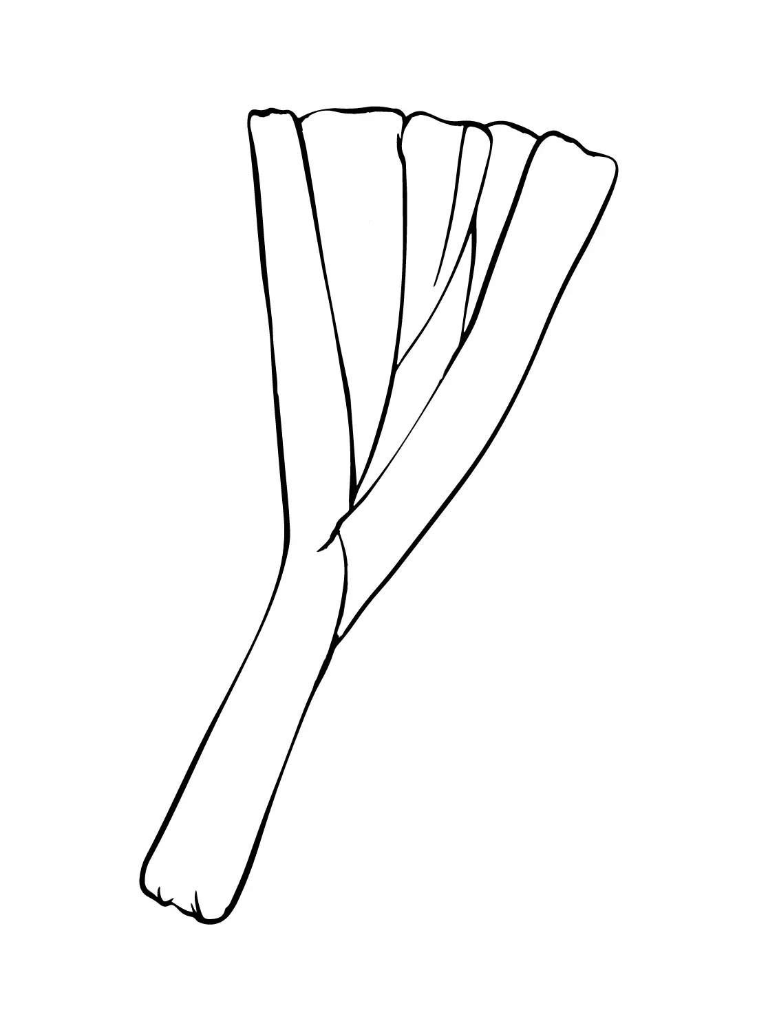 Leek Coloring Pages 17