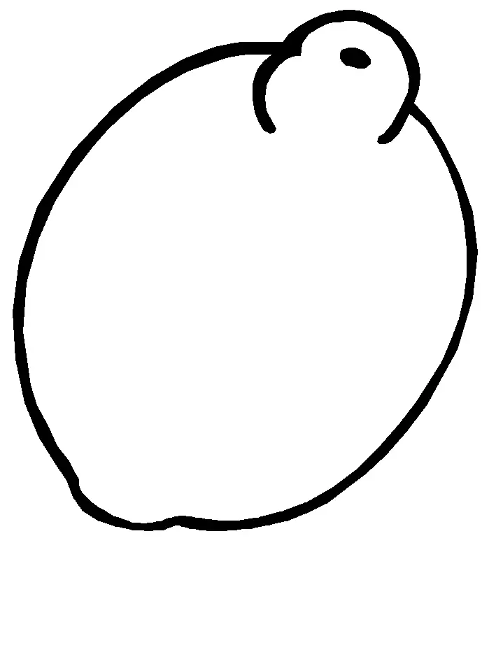 Lemon Coloring Pages 7