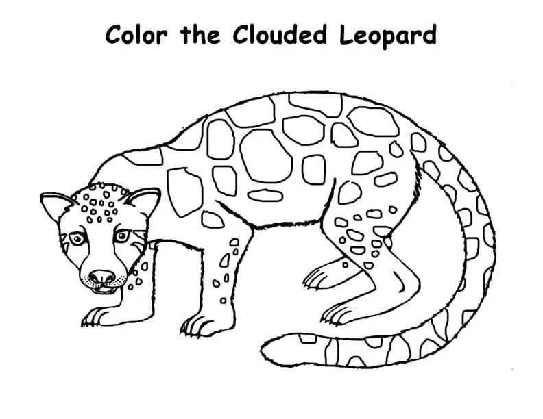 Desenhos de Leopardos Para Colorir 39