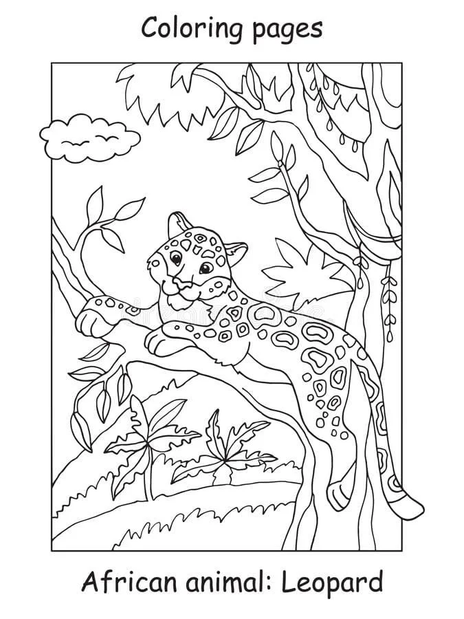 Desenhos de Leopardos Para Colorir 6