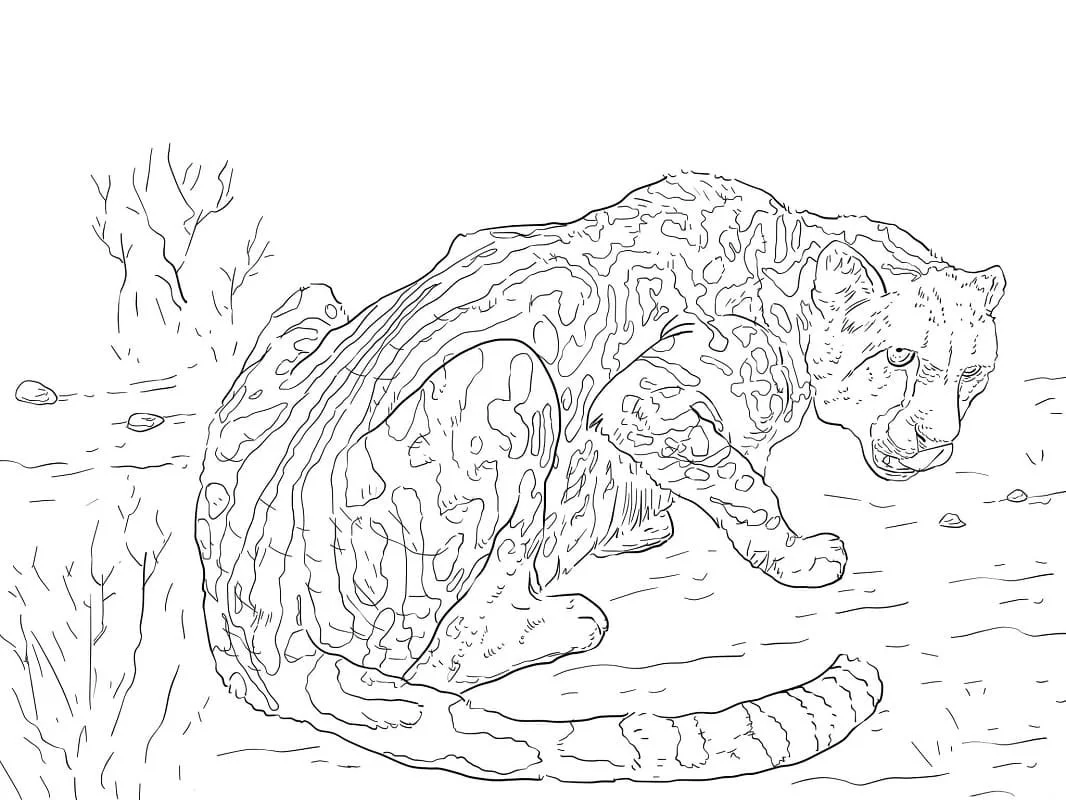 Desenhos de Leopardos Para Colorir 82