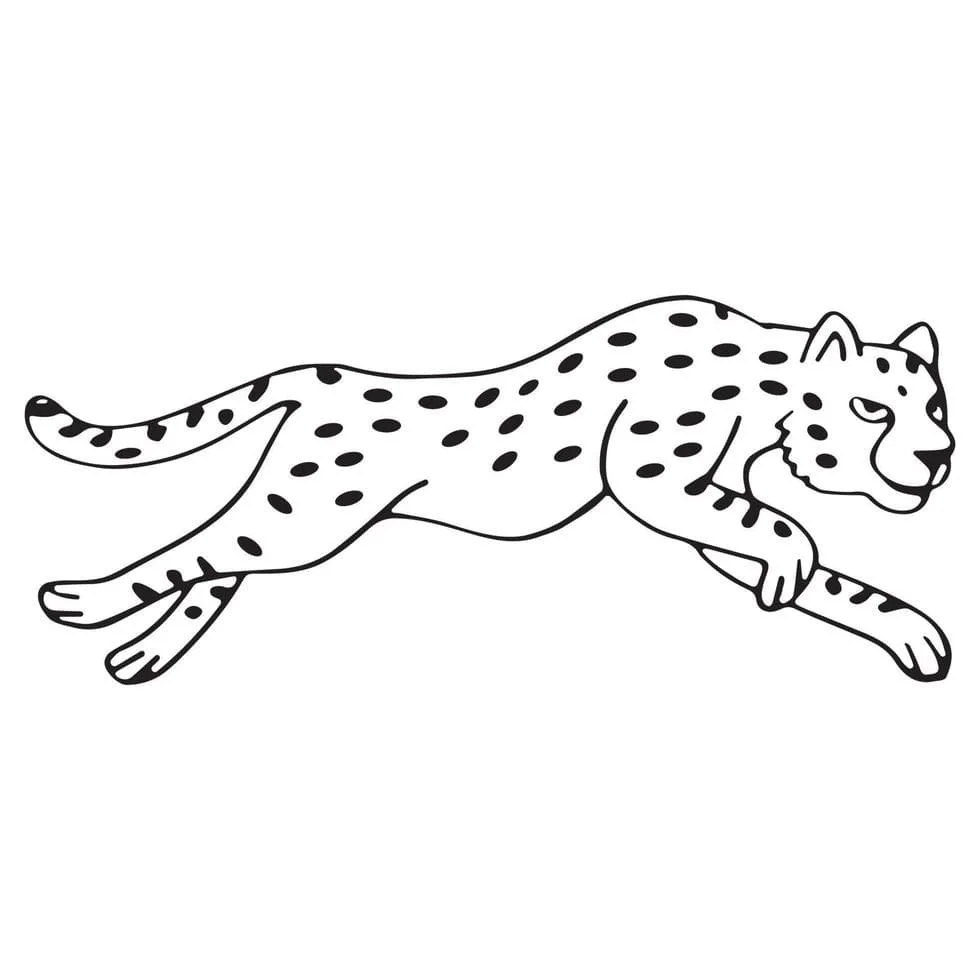 Desenhos de Leopardos Para Colorir 91