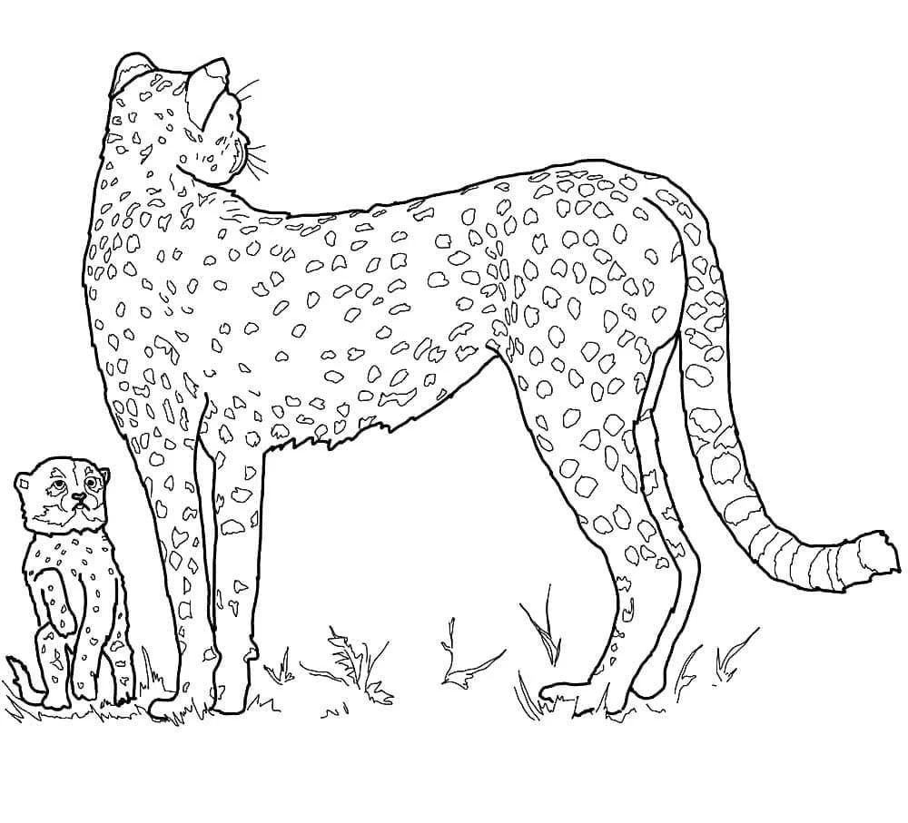 Desenhos de Leopardos Para Colorir 98