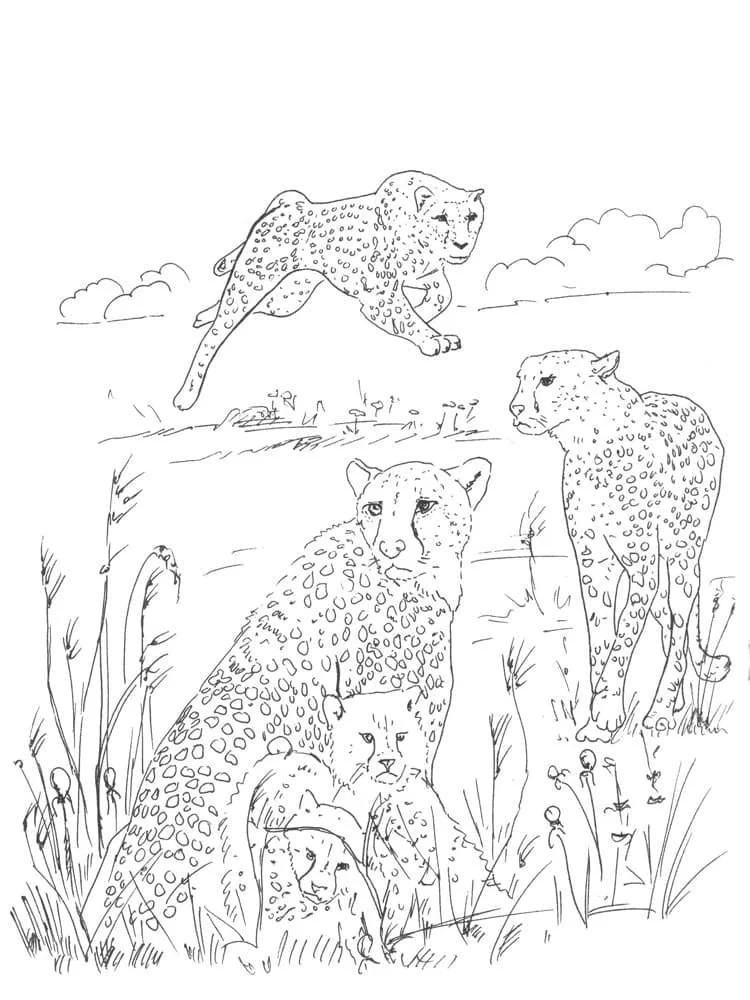 Ausmalbilder Leopard