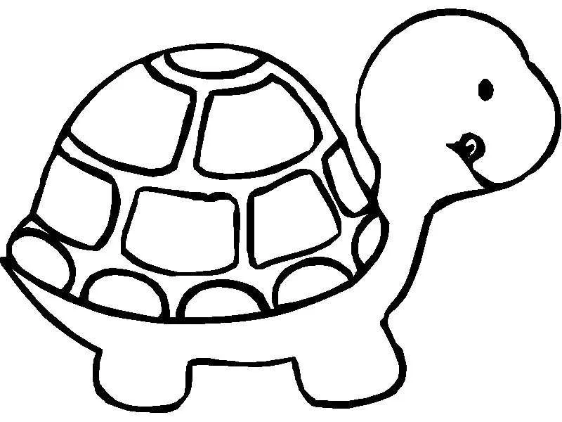 Desenhos de Letra T Para Colorir 13