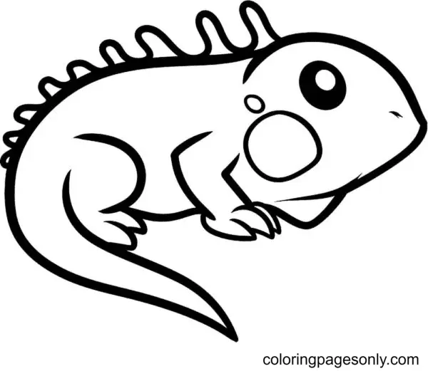 Desenhos de Lagarto Para Colorir 2