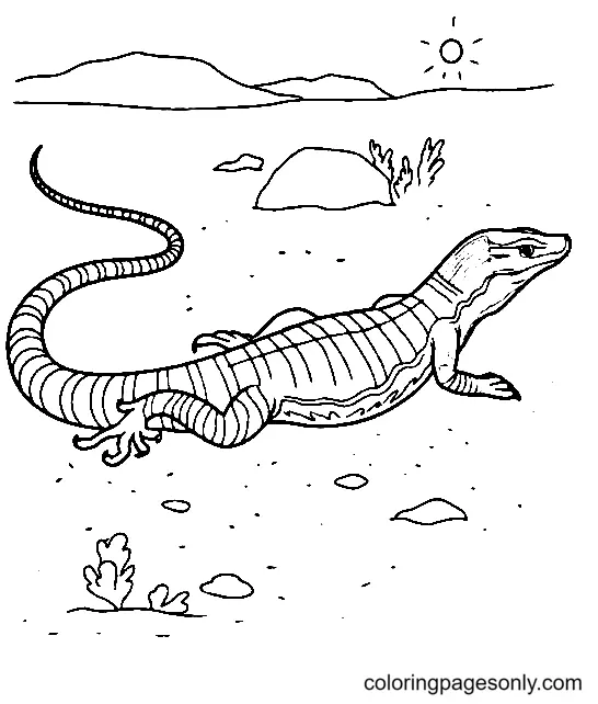 Desenhos de Lagarto Para Colorir 35