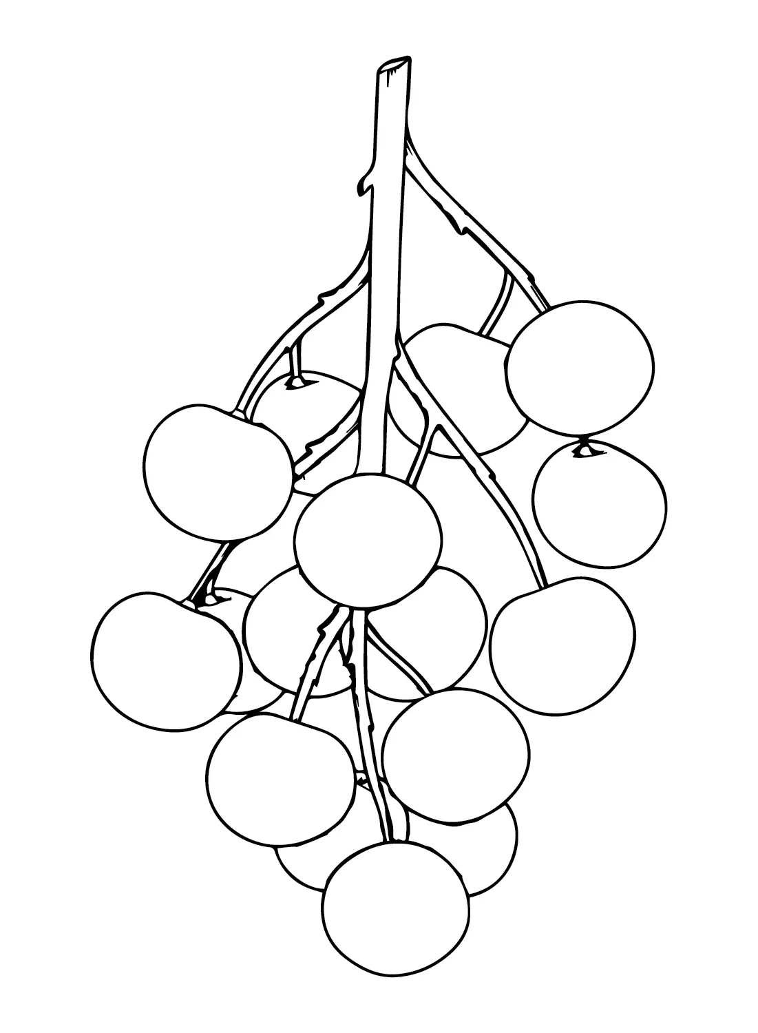 Longan Coloring Pages 21