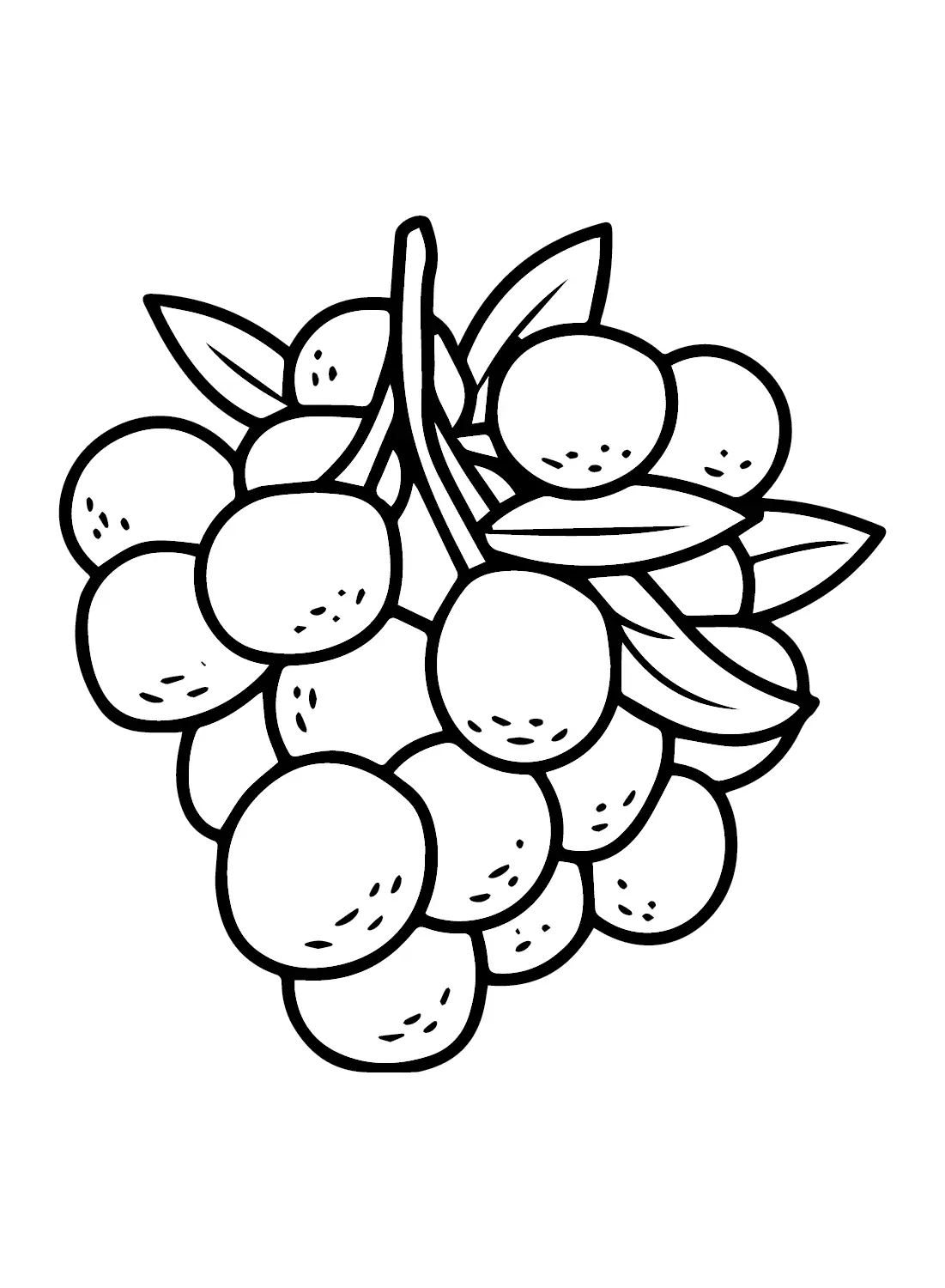Longan Ausmalbilder 7