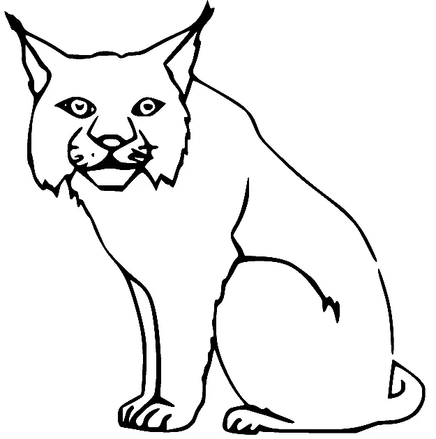 Lynx Coloring Pages 26