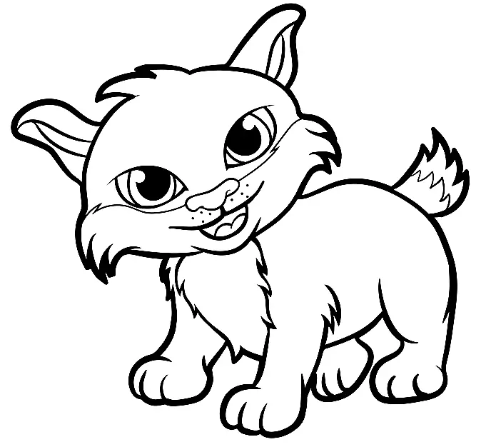 Luchs Ausmalbilder 4