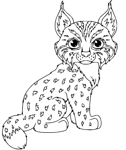 Luchs Ausmalbilder 7