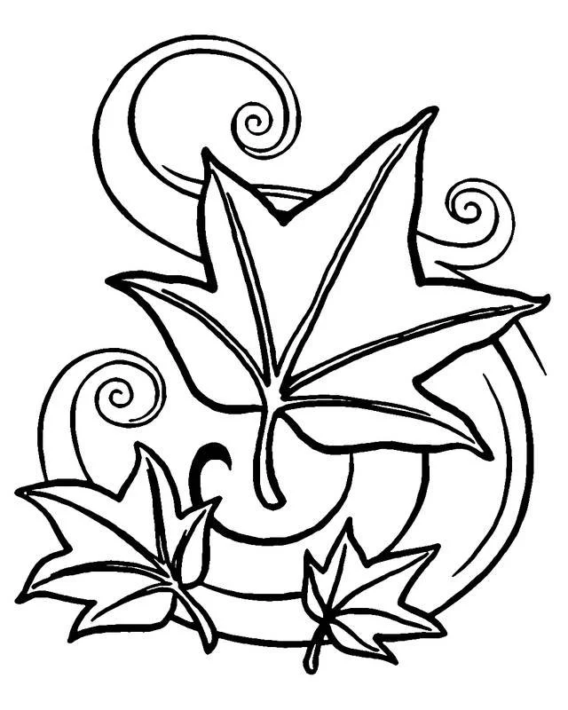 Maple Leaf Coloring Pages