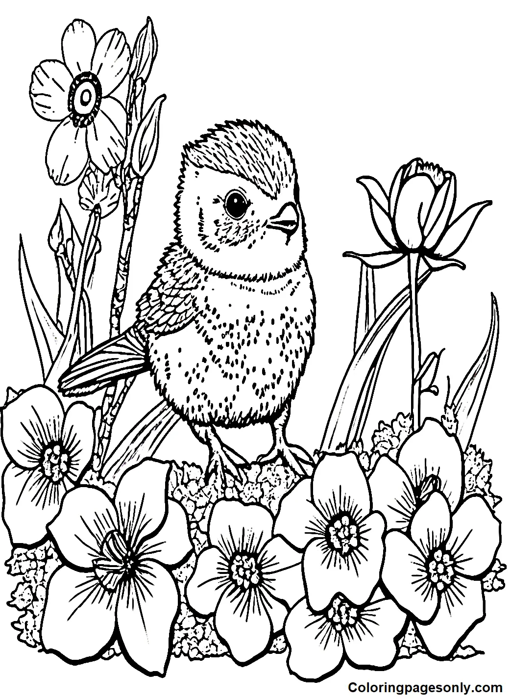 Marzo Para Colorear 6
